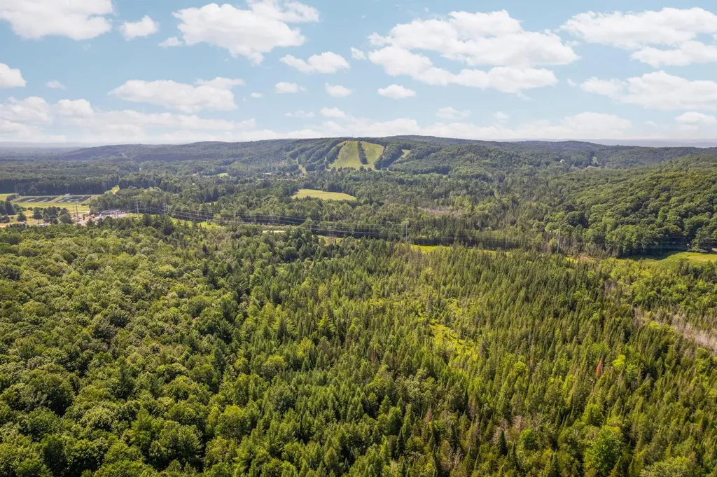 Parcels A & B Schuss Mountain Road Custer Township MI 49659