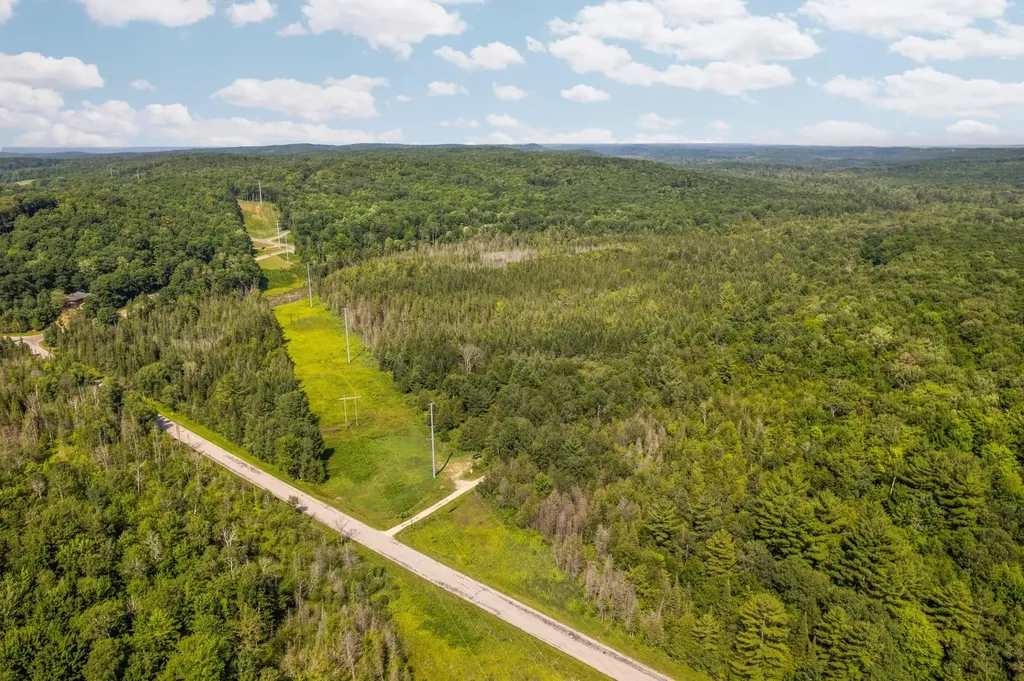 Parcels A & B Schuss Mountain Road Custer Township MI 49659