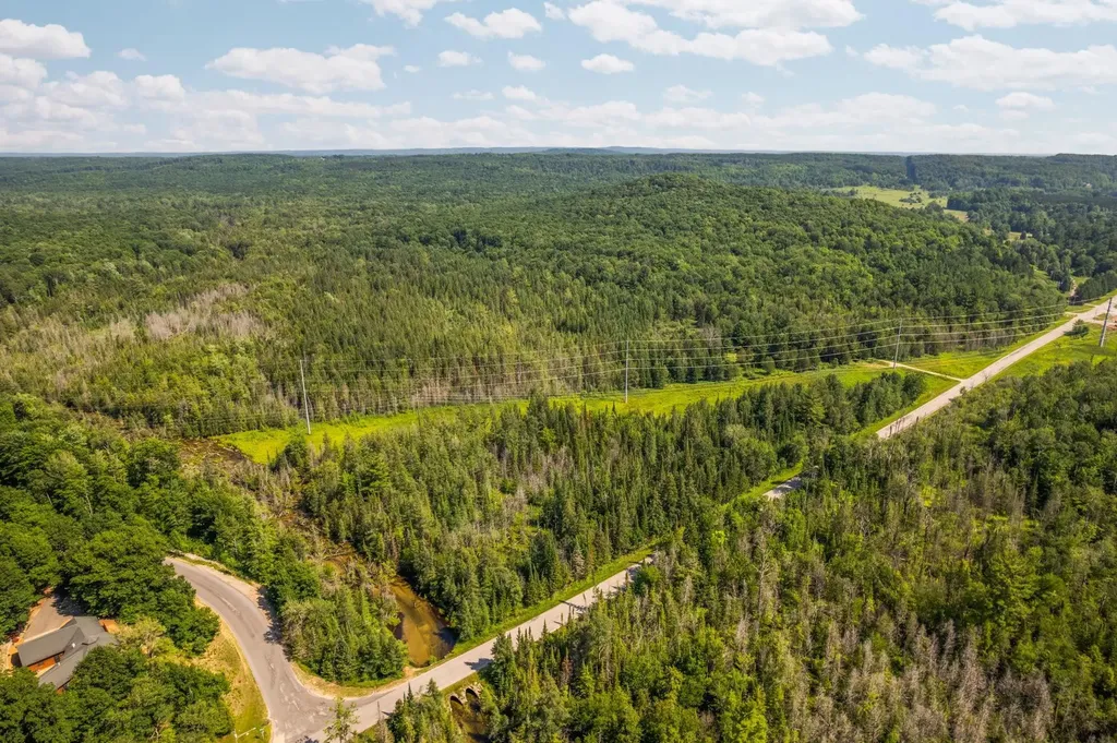 Parcels A & B Schuss Mountain Road Custer Township MI 49659