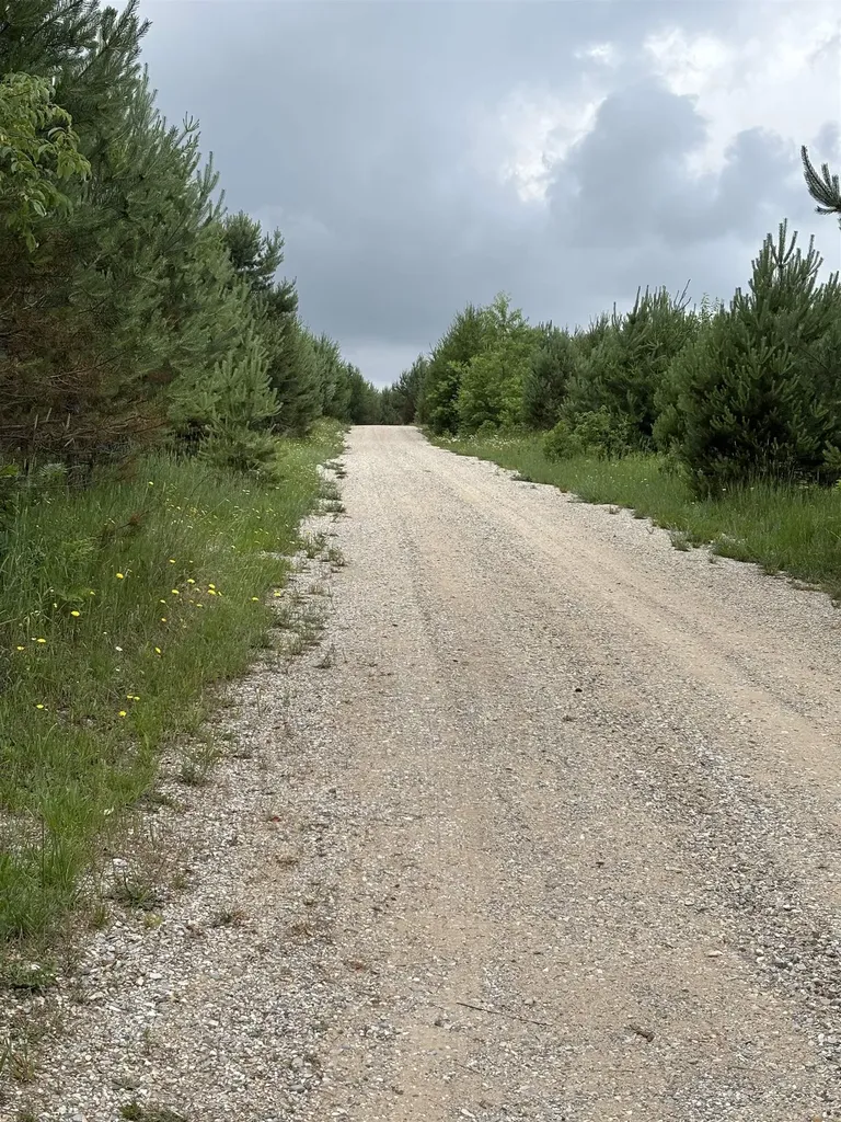1426 SE Riley Road Kalkaska Township MI 49646