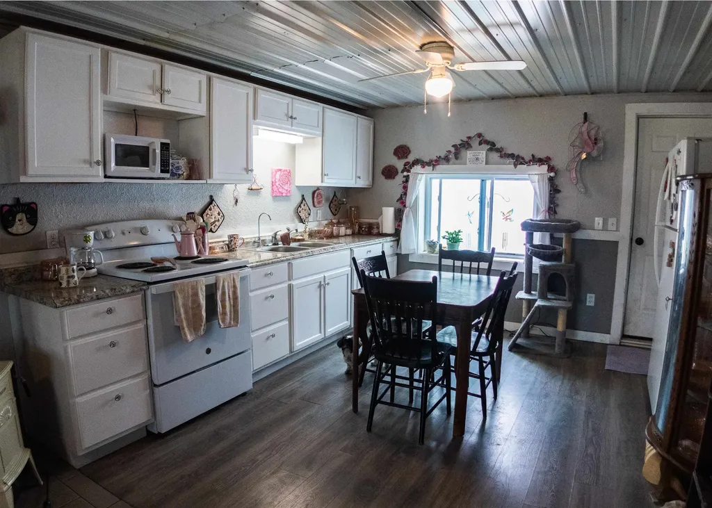 311 Roberts Street Haring Charter Township MI 49601