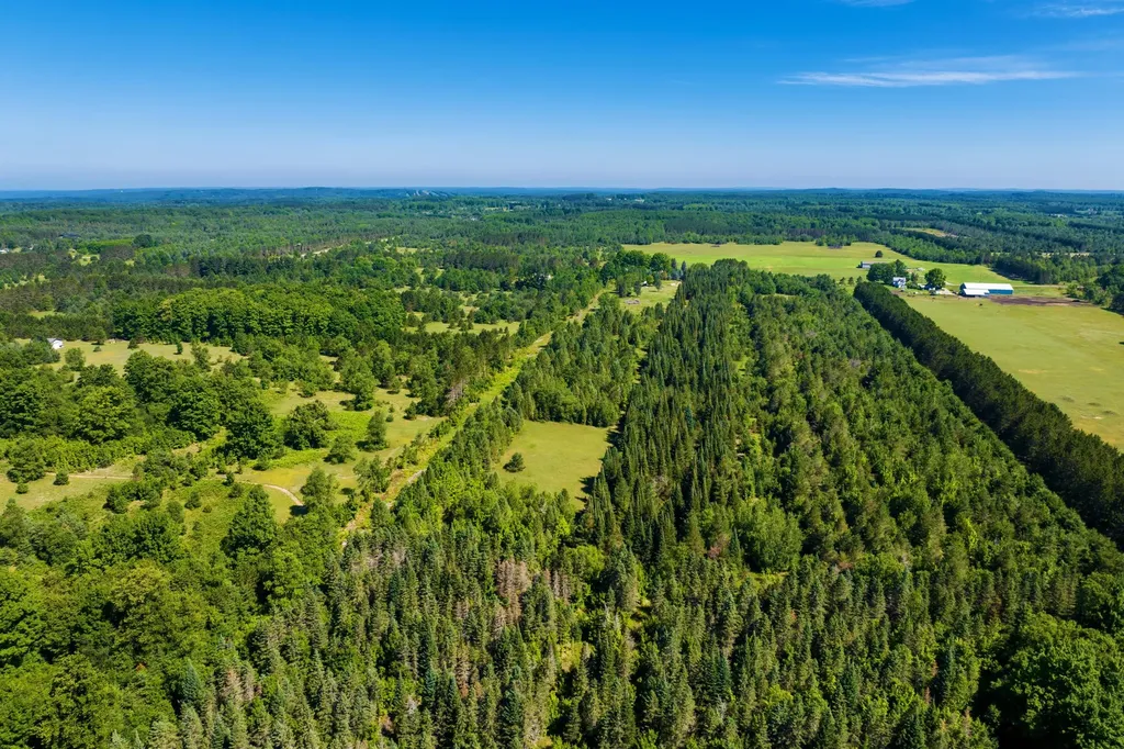 653 W Elder Road Custer Township MI 49659