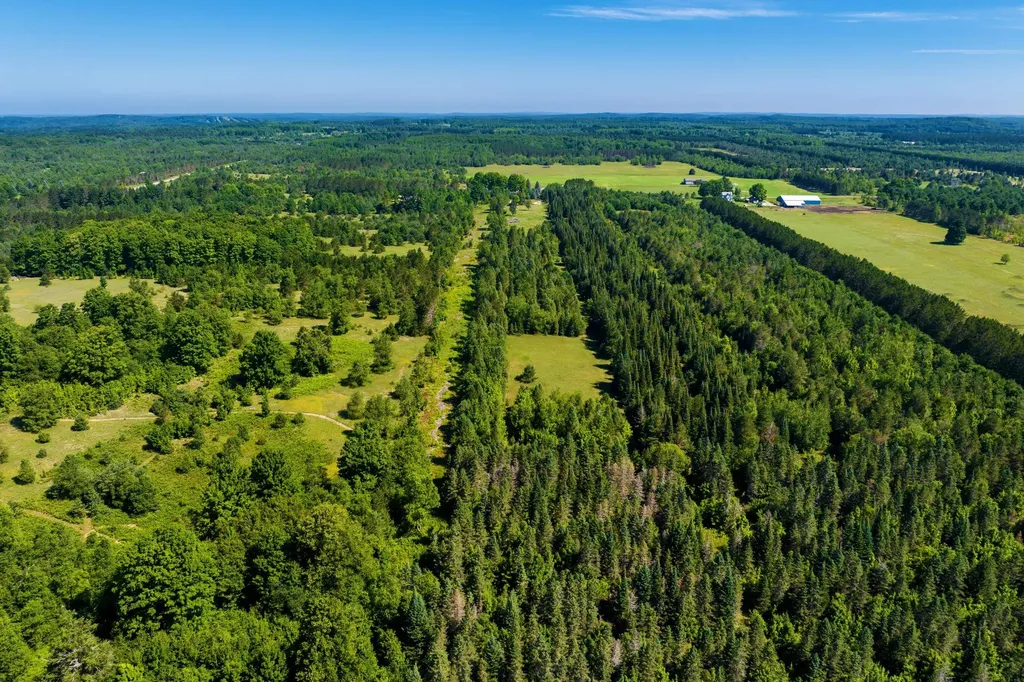 653 W Elder Road Custer Township MI 49659