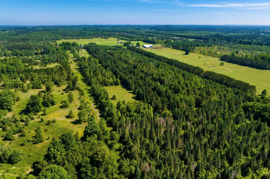 653 W Elder Road Custer Township MI 49659