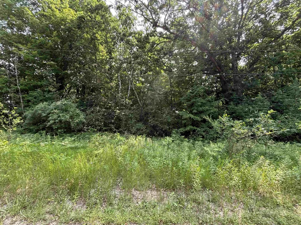 V/l White Birch Drive Grant Township MI 48625