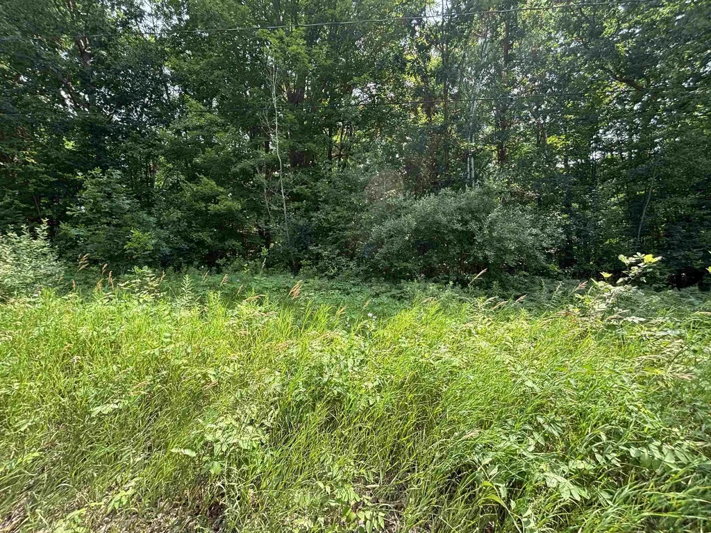 V/l White Birch Drive Grant Township MI 48625