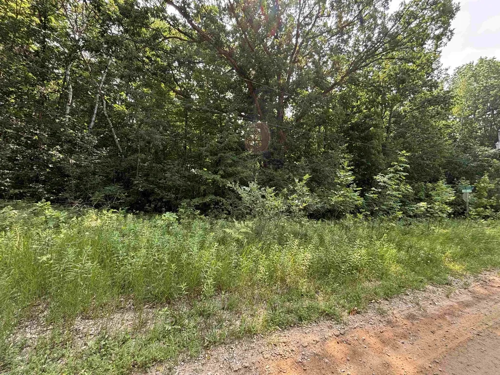 V/l White Birch Drive Grant Township MI 48625