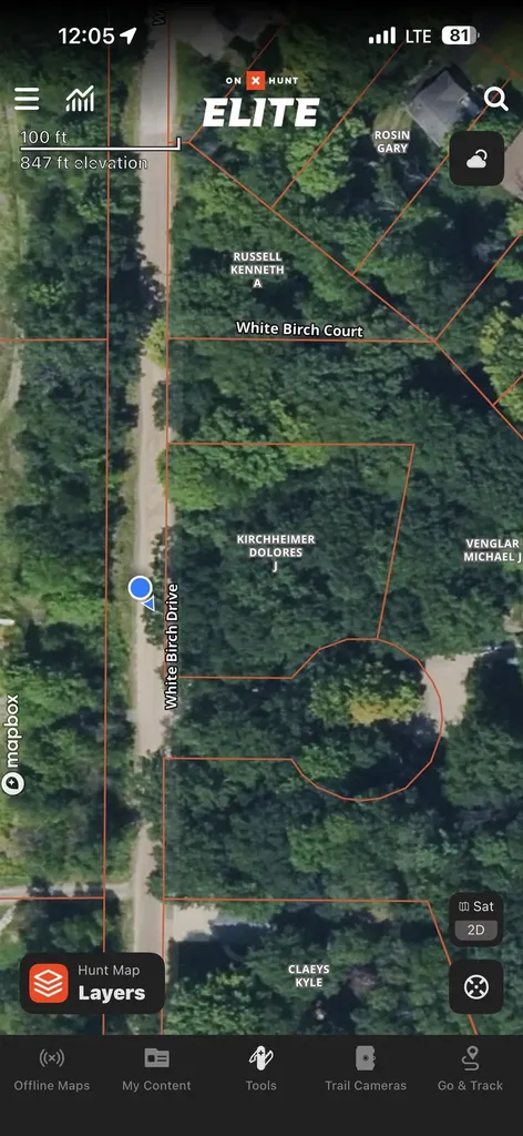 V/l White Birch Drive Grant Township MI 48625