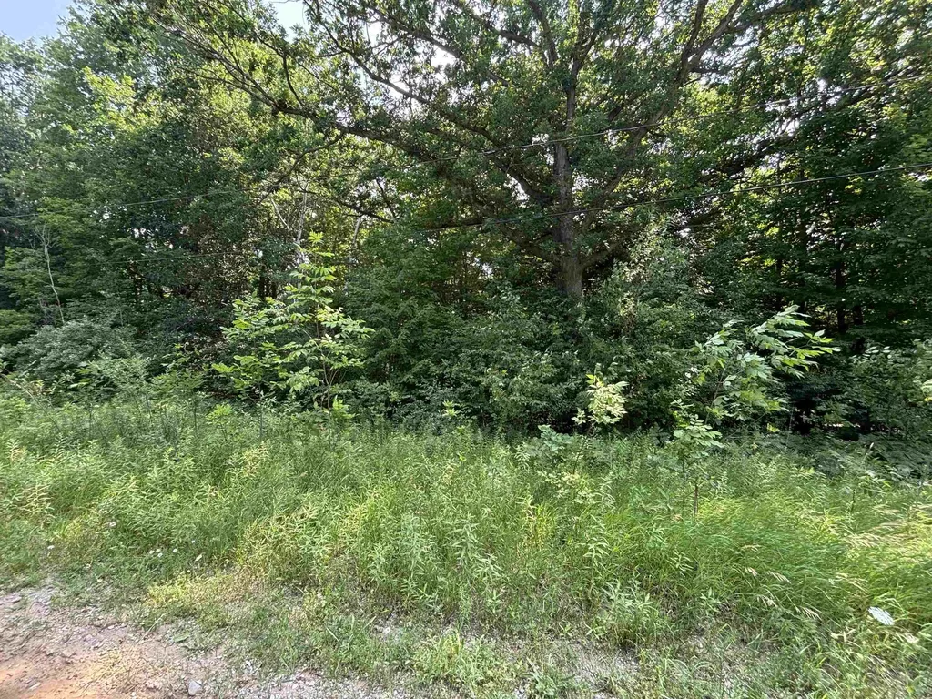 V/l White Birch Drive Grant Township MI 48625