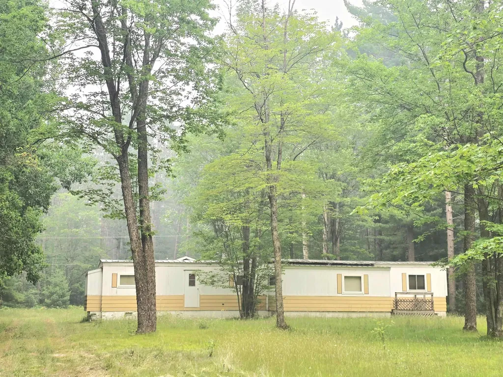 5260 N Old 27 Frederic Township MI 49733