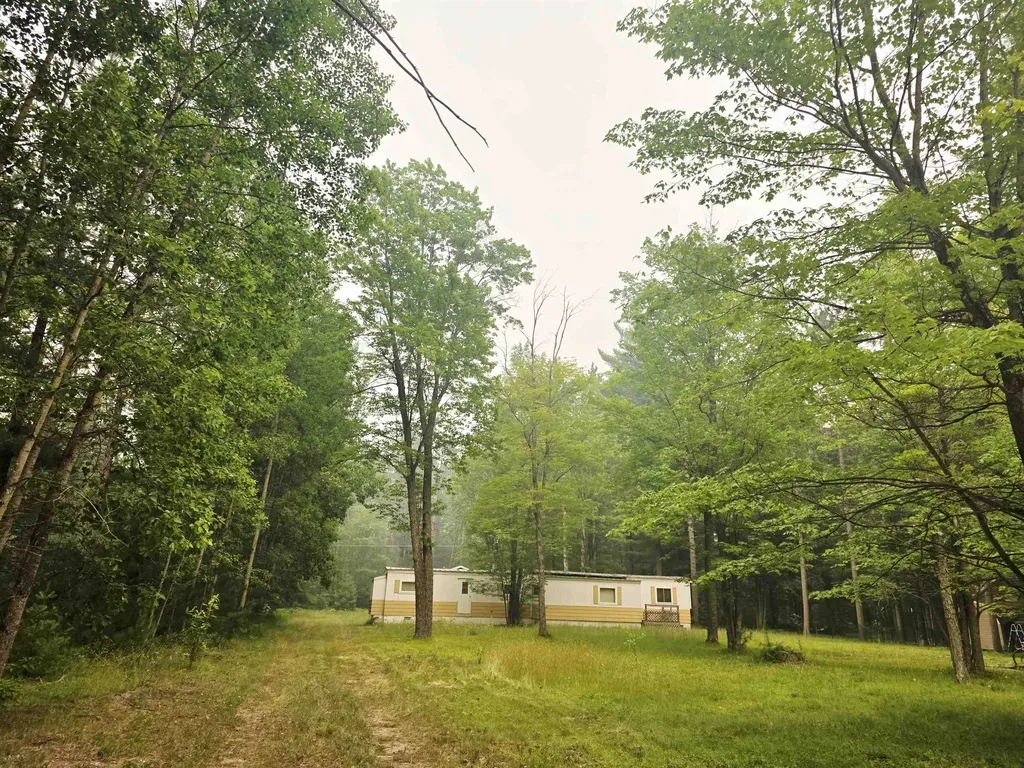 5260 N Old 27 Frederic Township MI 49733
