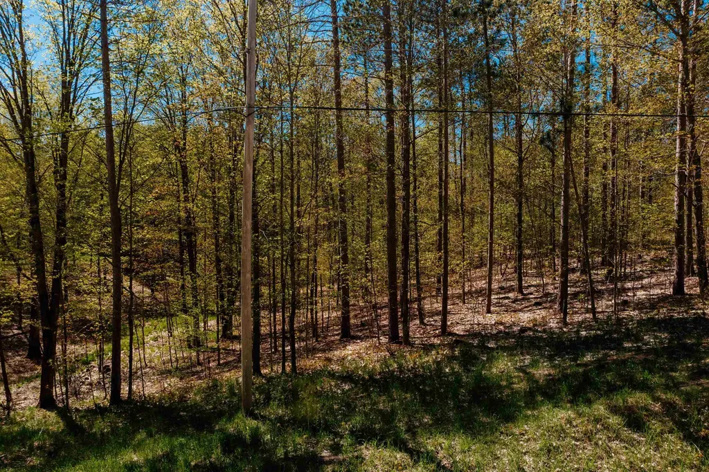 Parcel A Rahe Road Mayfield Township MI 49649