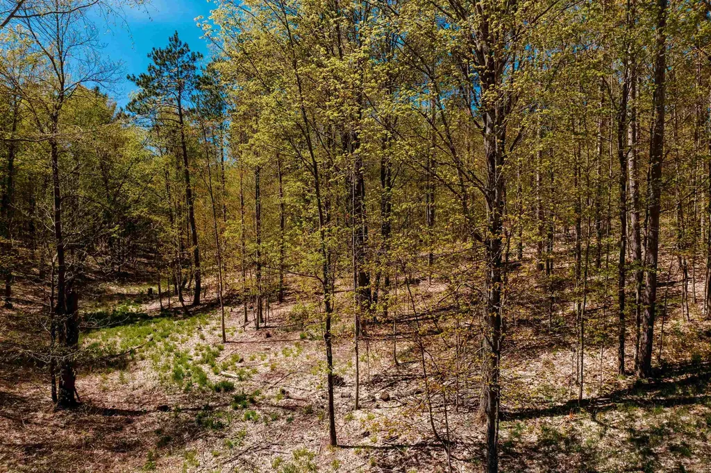 Parcel A Rahe Road Mayfield Township MI 49649