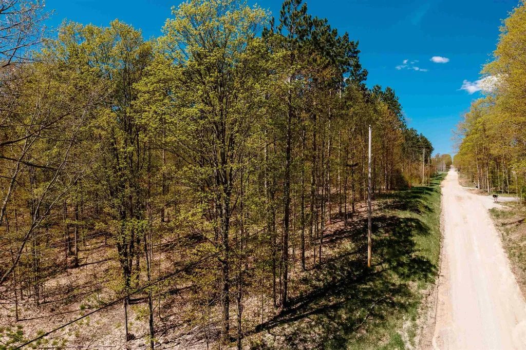 Parcel A Rahe Road Mayfield Township MI 49649