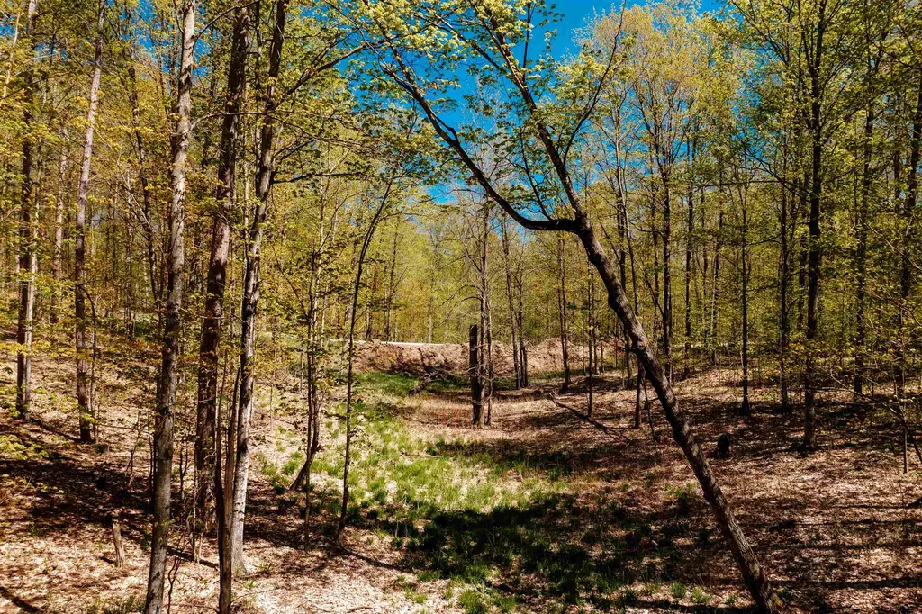Parcel A Rahe Road Mayfield Township MI 49649