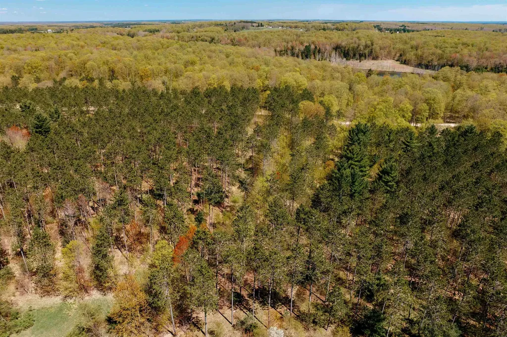 Parcel A Rahe Road Mayfield Township MI 49649