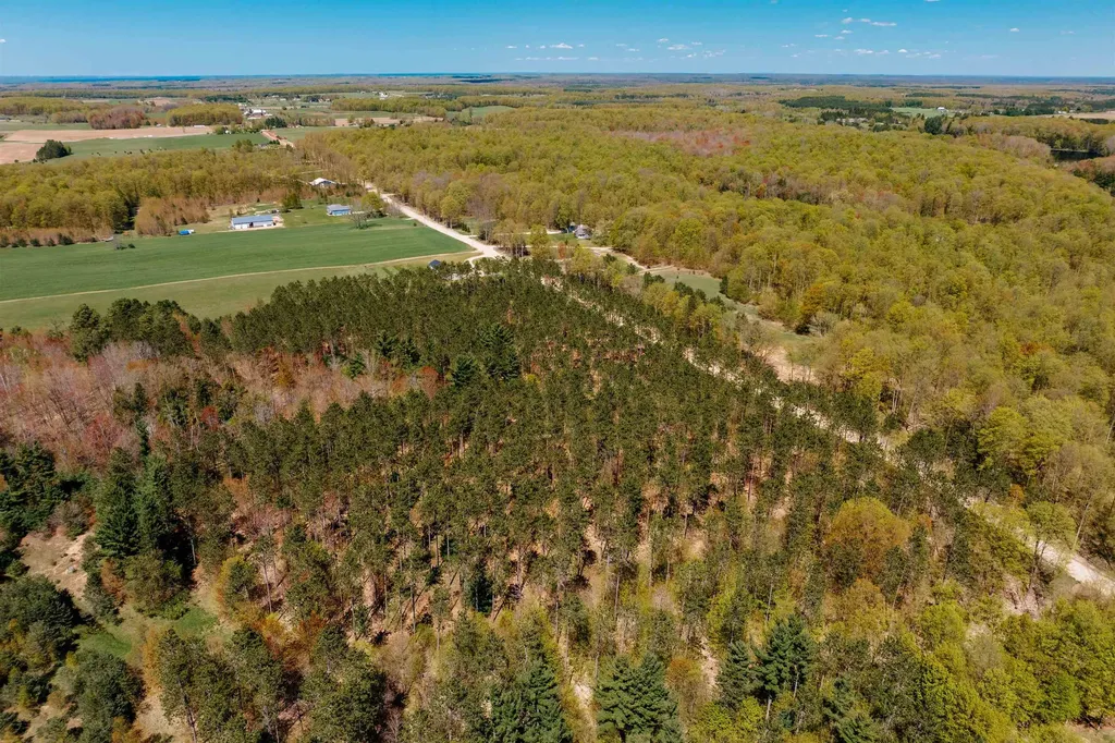 Parcel A Rahe Road Mayfield Township MI 49649