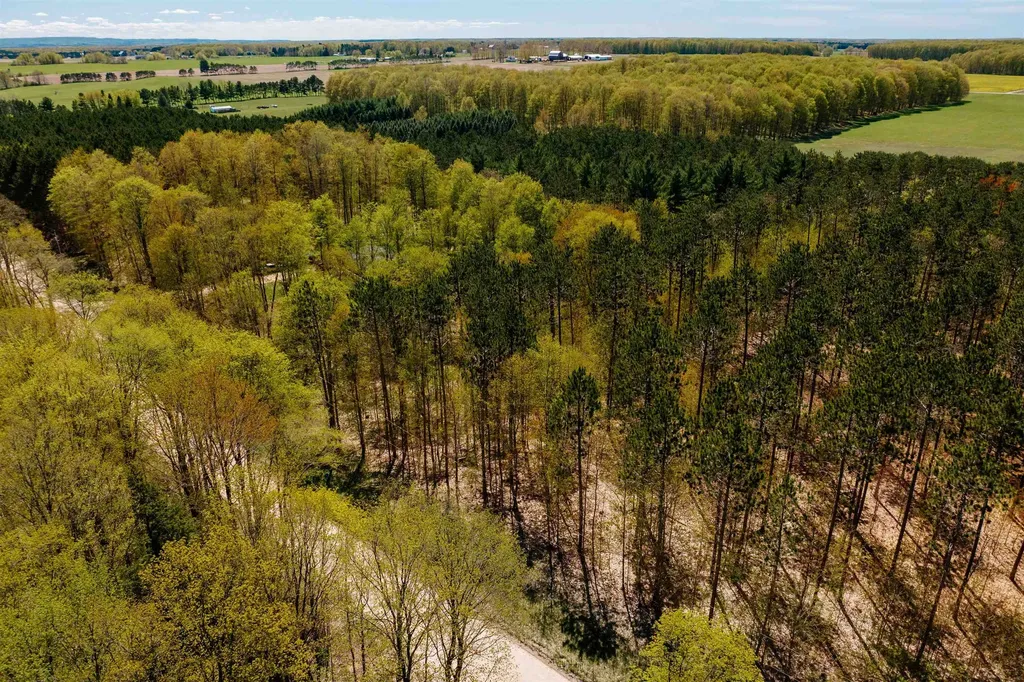Parcel A Rahe Road Mayfield Township MI 49649