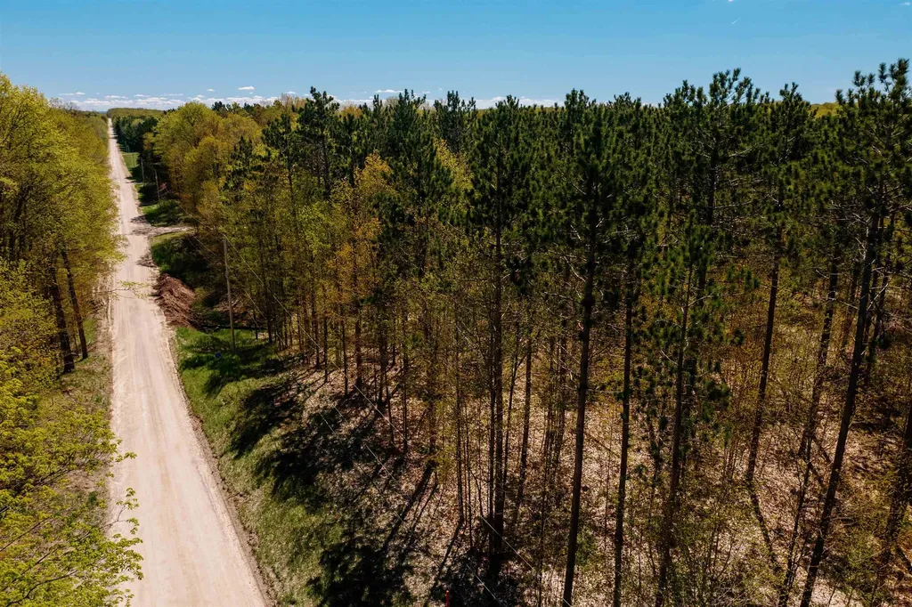 Parcel A Rahe Road Mayfield Township MI 49649