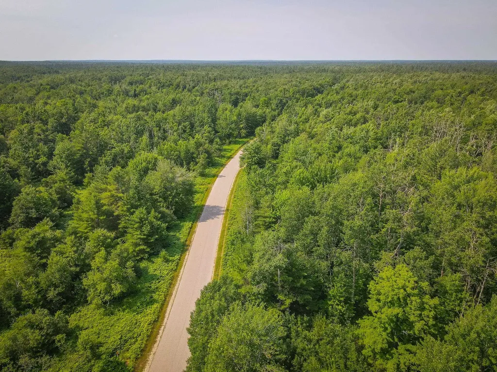 251 Northwood Drive Elmira Township MI 49730