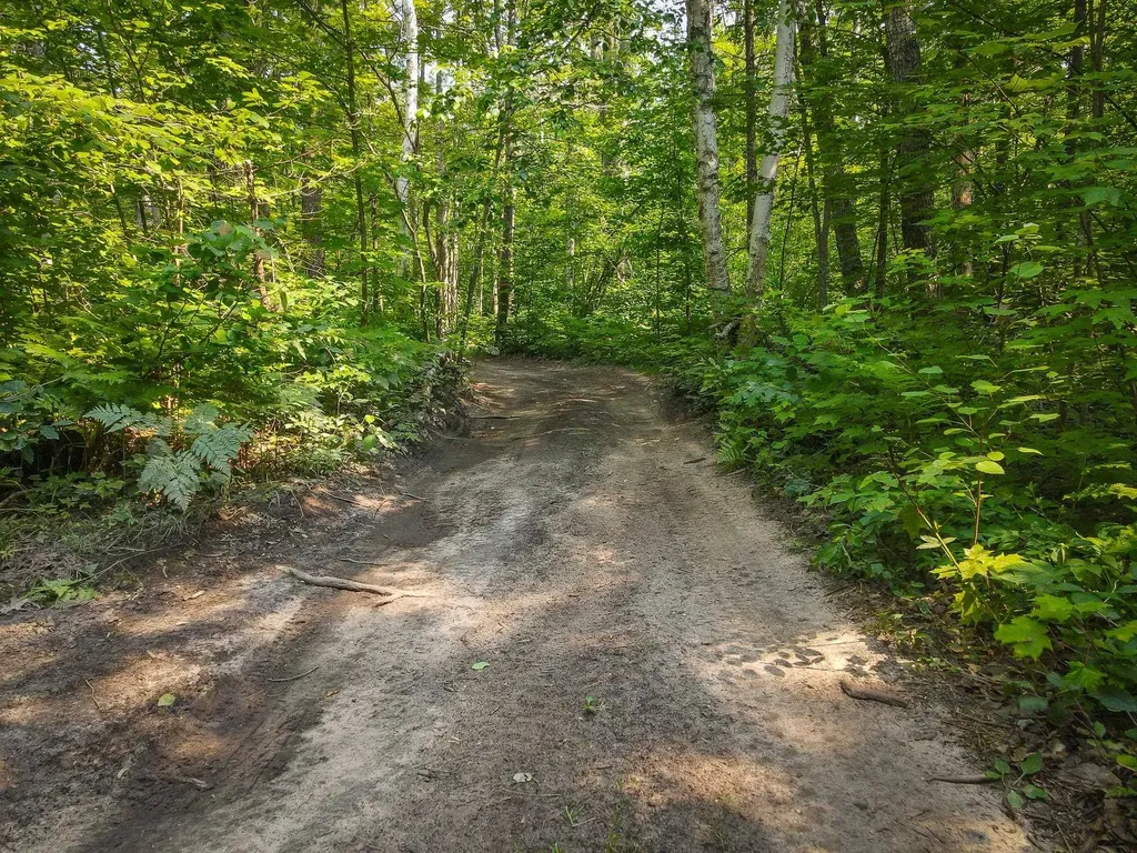 251 Northwood Drive Elmira Township MI 49730