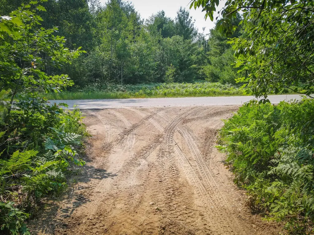 251 Northwood Drive Elmira Township MI 49730