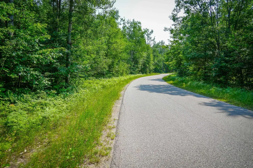251 Northwood Drive Elmira Township MI 49730