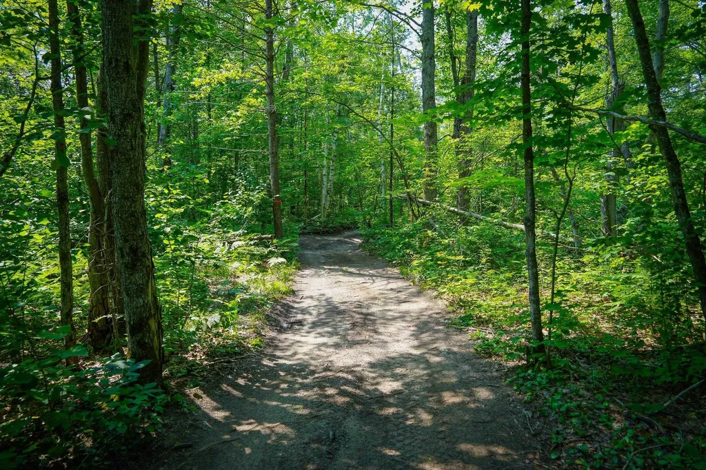 251 Northwood Drive Elmira Township MI 49730