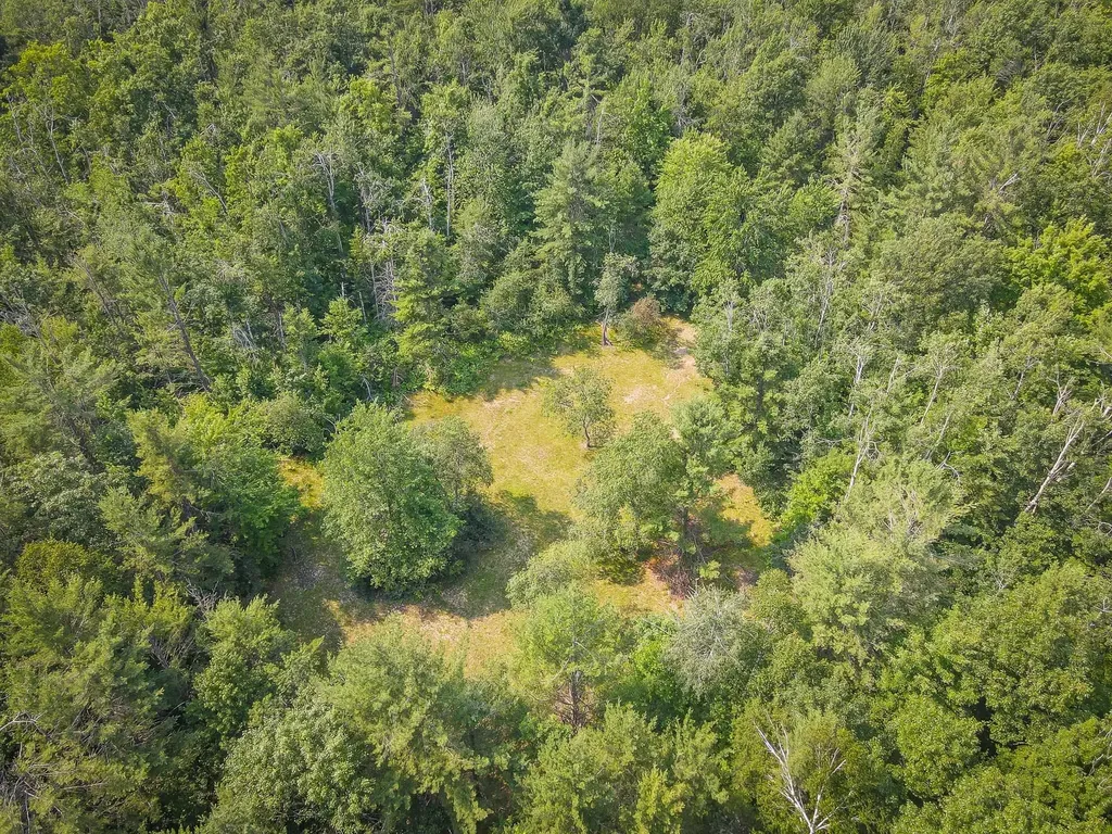 251 Northwood Drive Elmira Township MI 49730