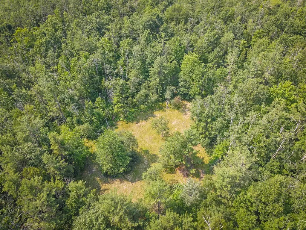 251 Northwood Drive Elmira Township MI 49730