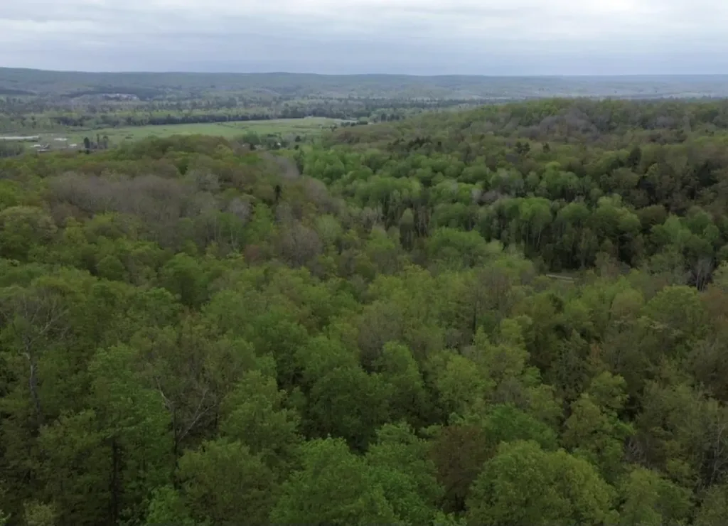 Vl Brookwood Drive Jordan Township MI 49727