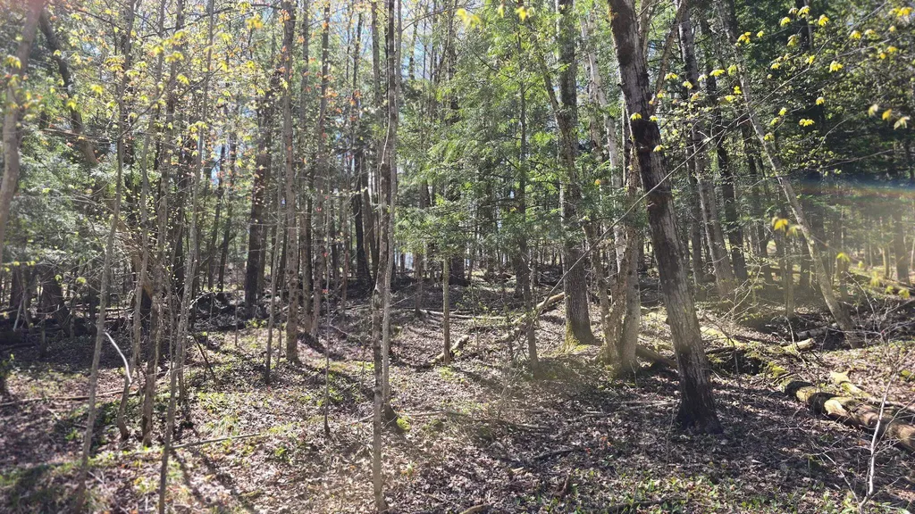 Vl Brookwood Drive Jordan Township MI 49727