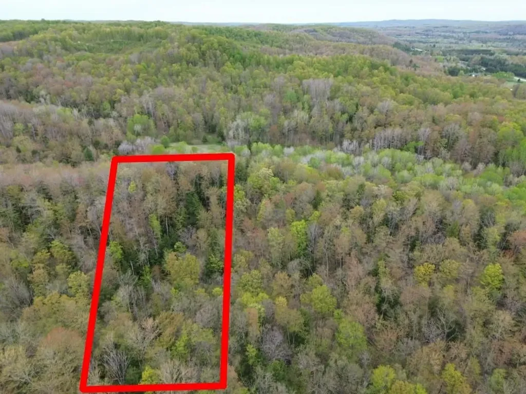 Vl Brookwood Drive Jordan Township MI 49727