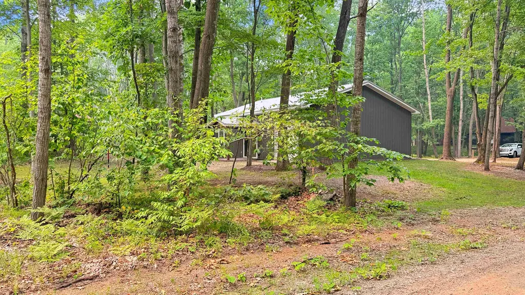 99 Middle Trail Rose Lake Township MI 49655