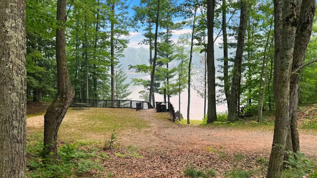 99 Middle Trail Rose Lake Township MI 49655