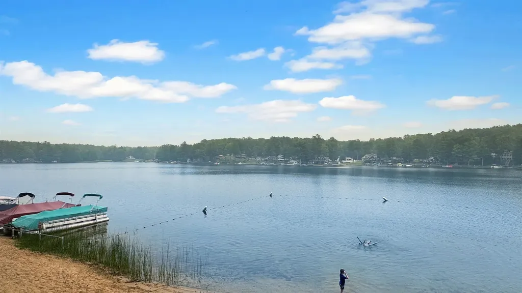 99 Middle Trail Rose Lake Township MI 49655