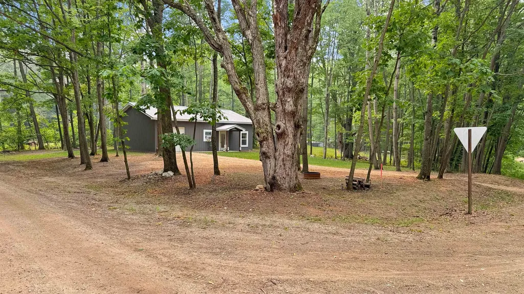 99 Middle Trail Rose Lake Township MI 49655