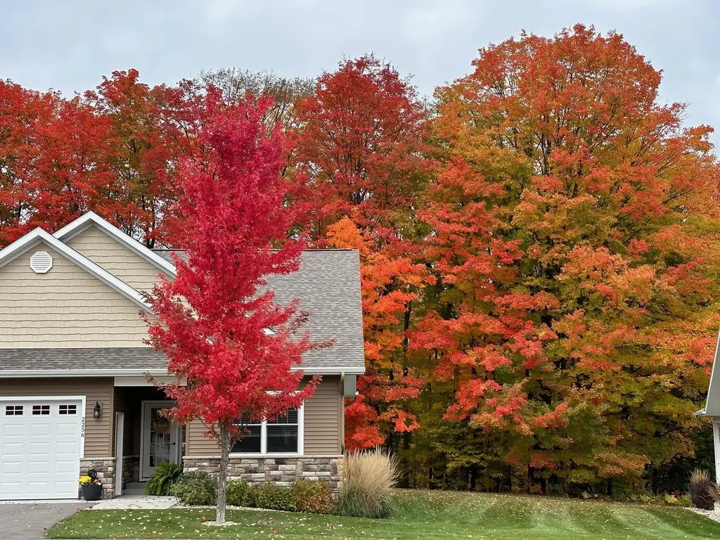 2256 Chelsea Lane Garfield Charter Township MI 49685