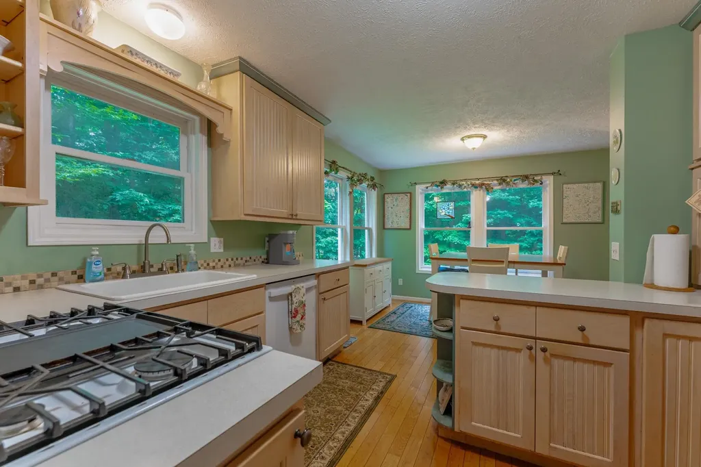 209 Black Ridge Court East Bay Township MI 49696