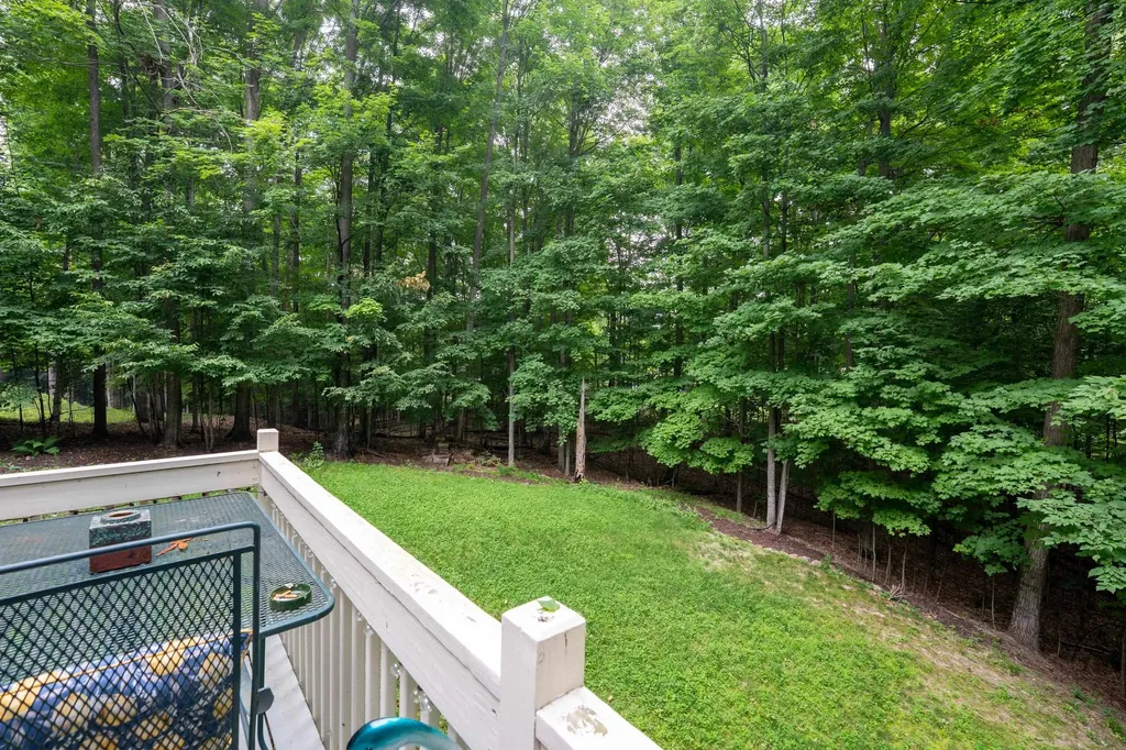 209 Black Ridge Court East Bay Township MI 49696