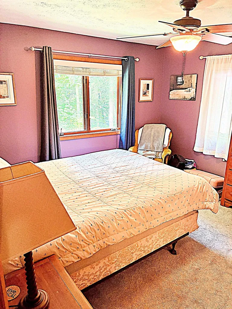 8131 Hillside Drive Long Lake Township MI 49685