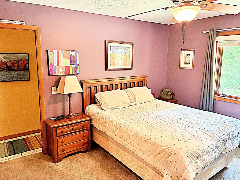 8131 Hillside Drive Long Lake Township MI 49685