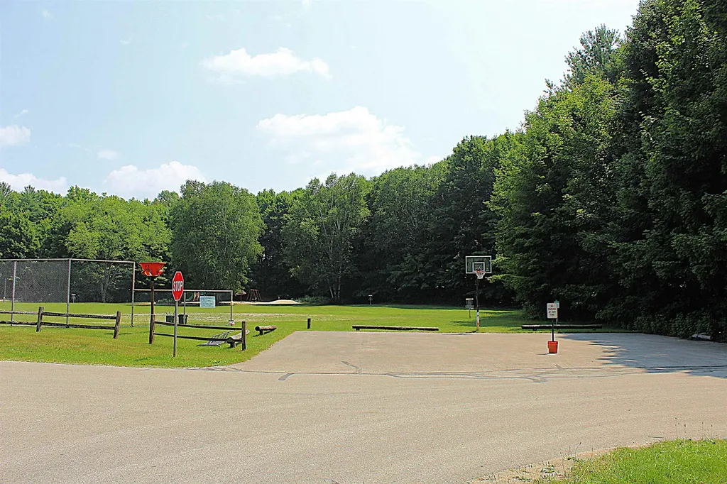 8131 Hillside Drive Long Lake Township MI 49685