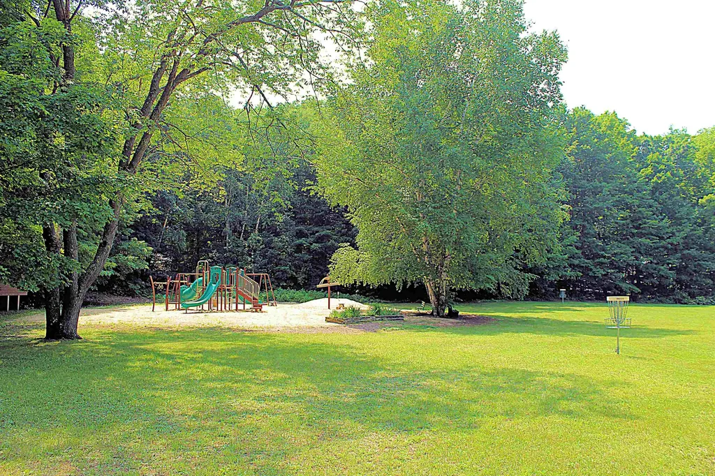 8131 Hillside Drive Long Lake Township MI 49685