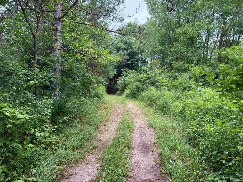 3512 SW Ingersoll Road Springfield Township MI 49633