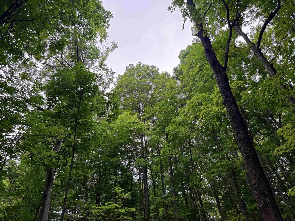 3512 SW Ingersoll Road Springfield Township MI 49633