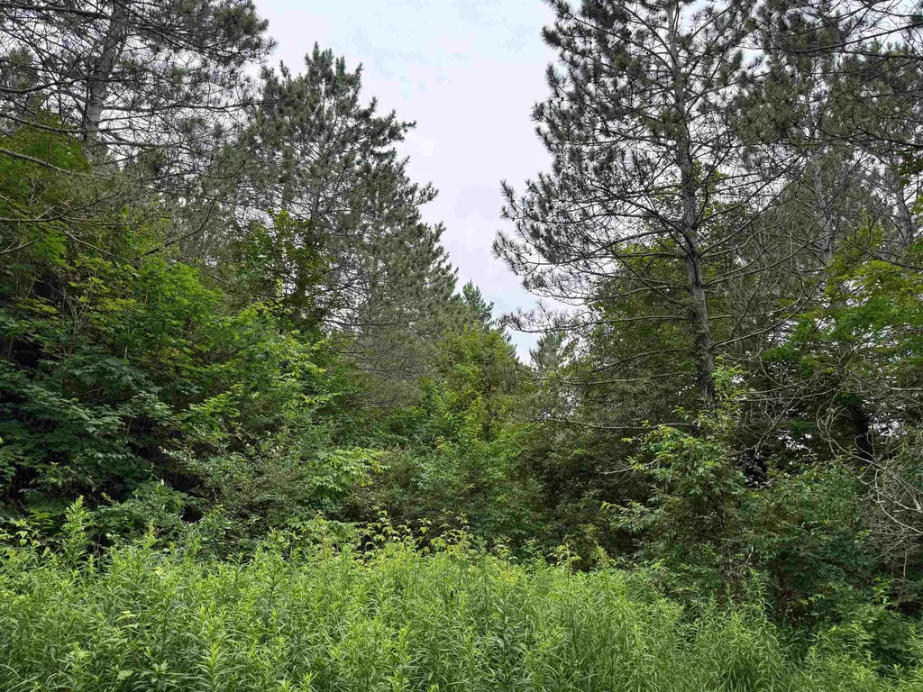 3512 SW Ingersoll Road Springfield Township MI 49633