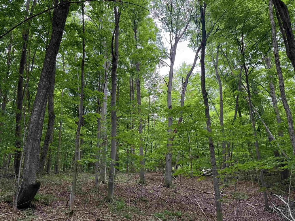 3512 SW Ingersoll Road Springfield Township MI 49633