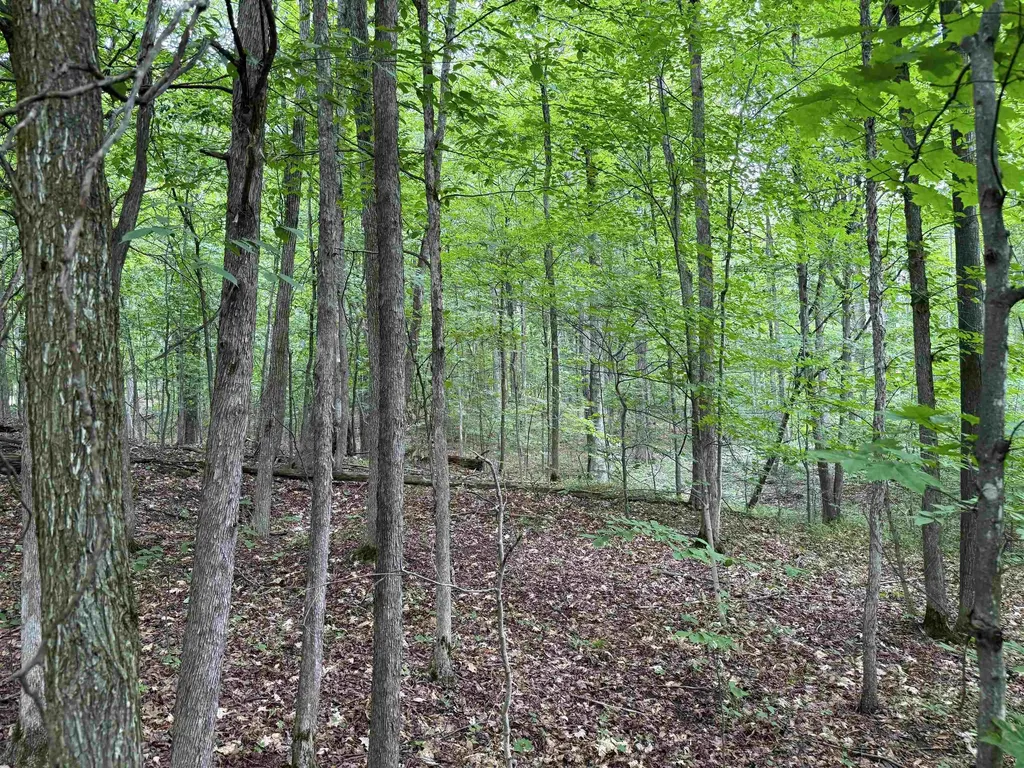 3512 SW Ingersoll Road Springfield Township MI 49633