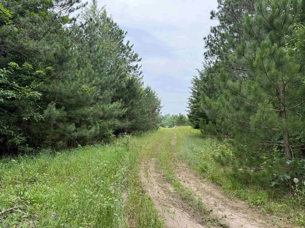 3512 SW Ingersoll Road Springfield Township MI 49633